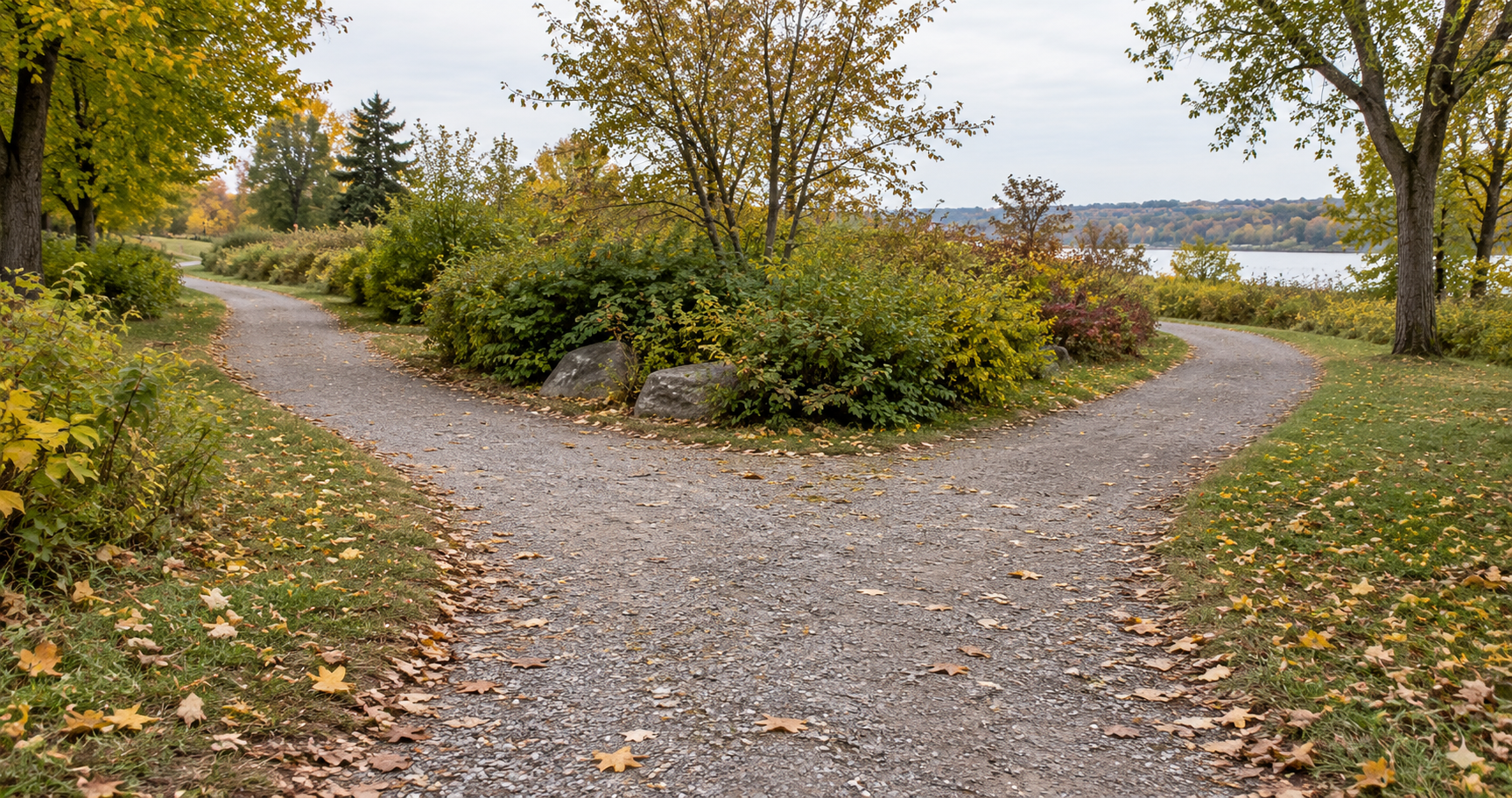 Un sentier paisible se divise en deux chemins dans un parc au bord d'un lac.