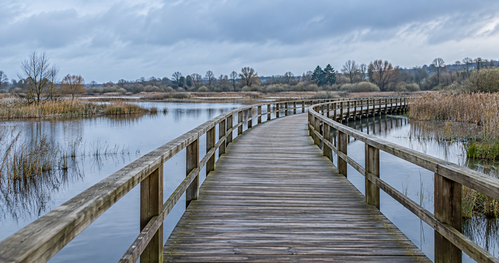 A wooden boardwalk curving across a wetland toward the horizon.