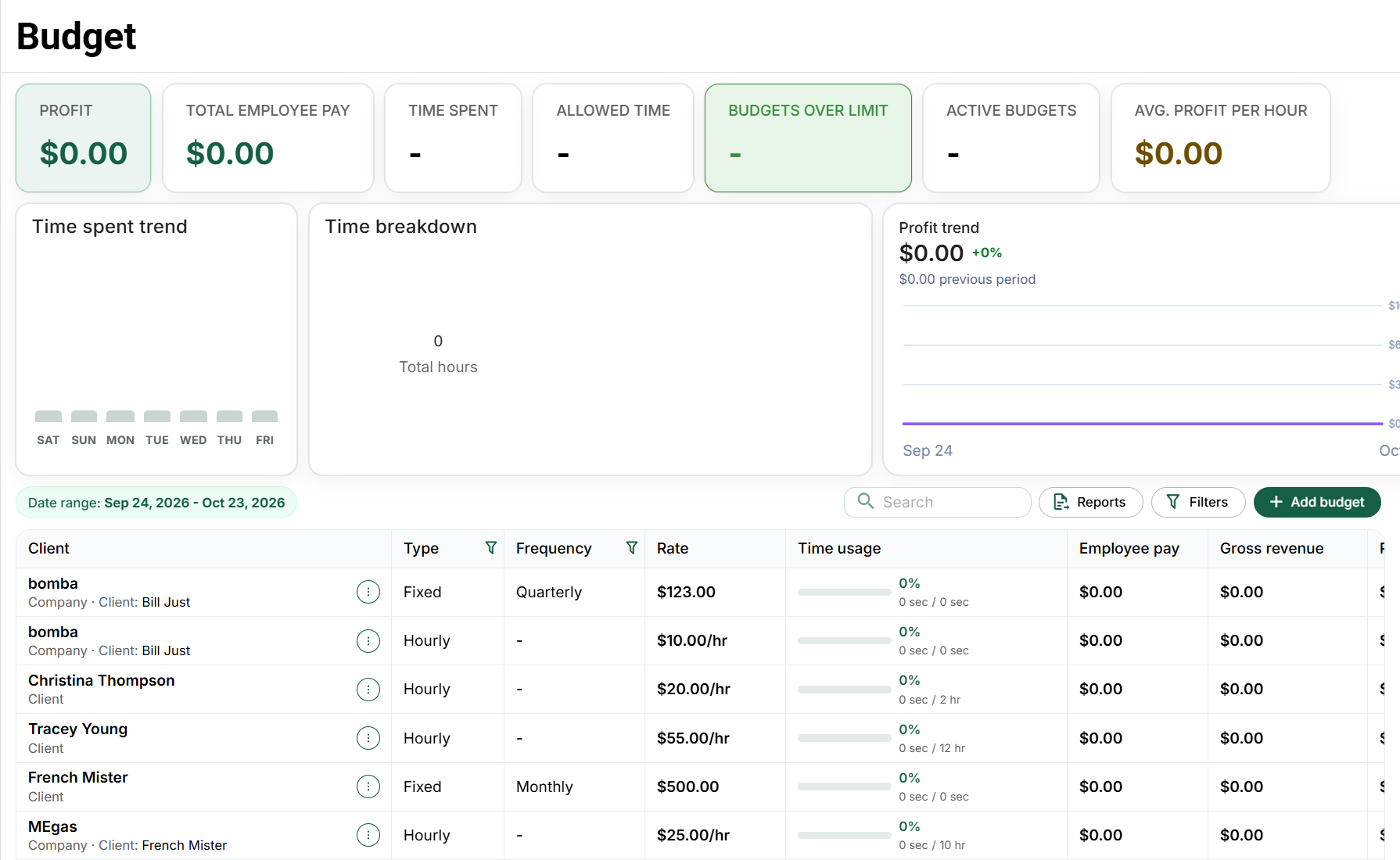 Budget dashboard and record controls