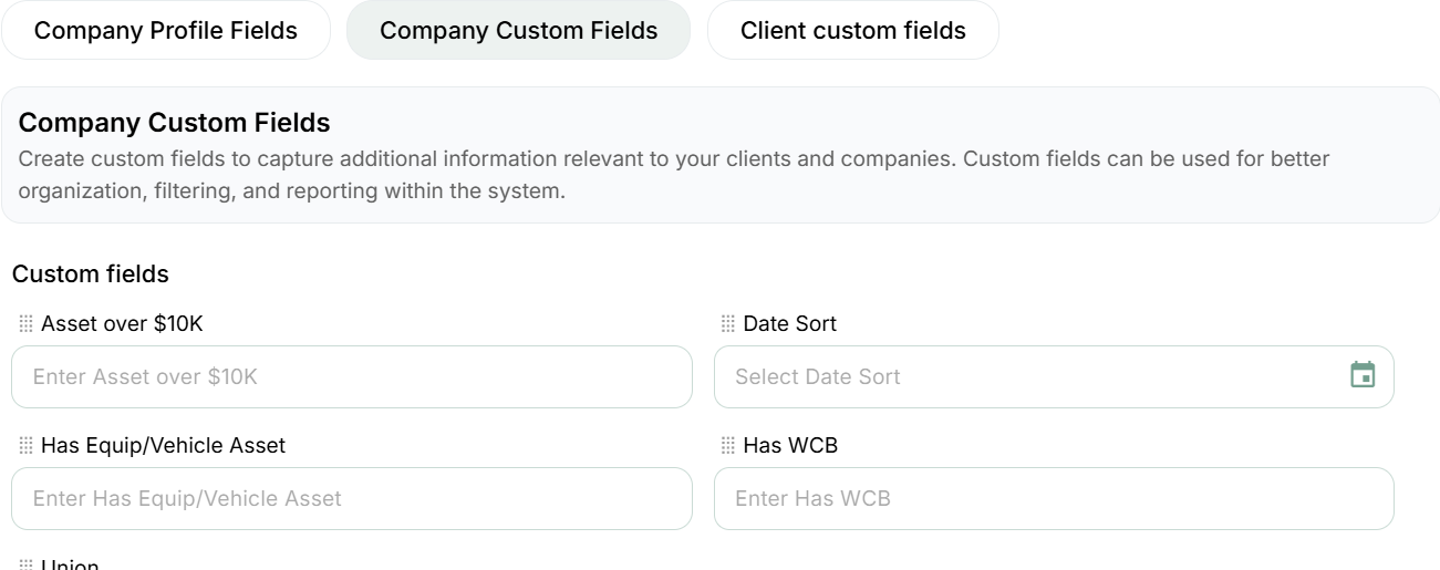 Company custom fields: intentionally disabled definition previews